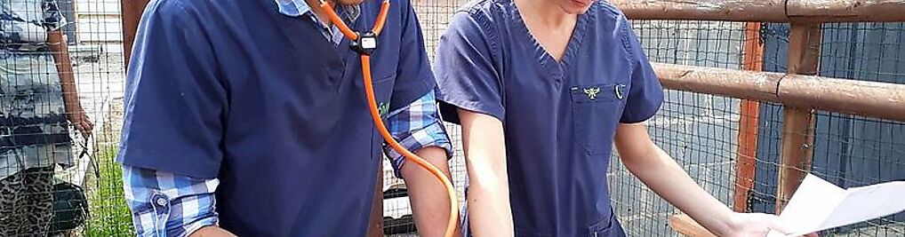 Zdjęcie w galerii Gabinety weterynaryjne OmniVet nr 8