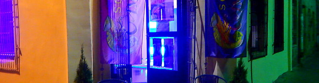 Zdjęcie w galerii Solarium Cameleon nr 5