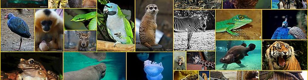 Zdjęcie w galerii Zoo Wrocław nr 2
