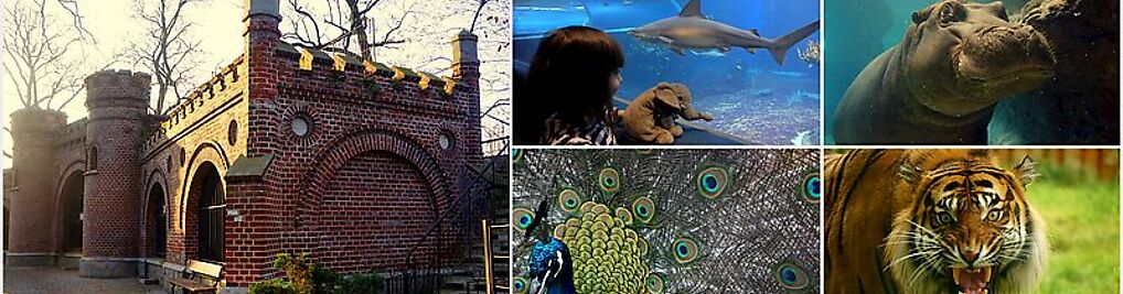 Zdjęcie w galerii Zoo Wrocław nr 1