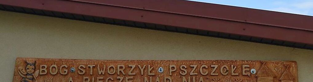 Zdjęcie w galerii Plon nr 3