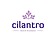 Logo - 