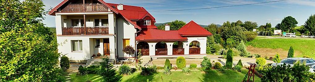 Zdjęcie w galerii Liść Klonu nr 3