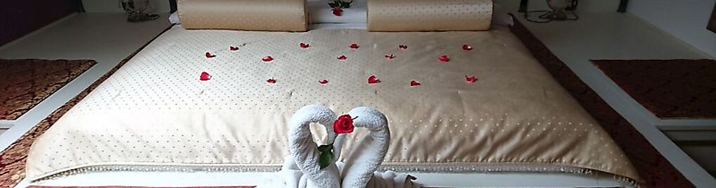 Zdjęcie w galerii Hotel Wellness Dwór Dębowiec*** nr 2