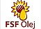 Logo - FSF Olej Sp. z o.o., Przemysłowa 10, Katowice 40-020 - Przedsiębiorstwo, Firma, godziny otwarcia, numer telefonu