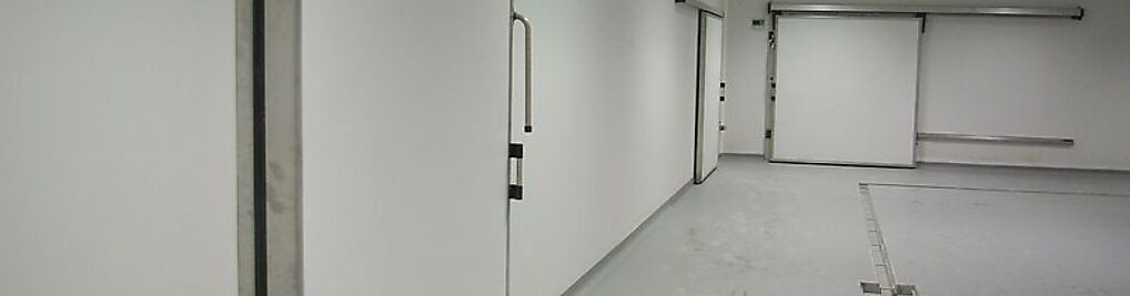 Zdjęcie w galerii Sarana nr 3