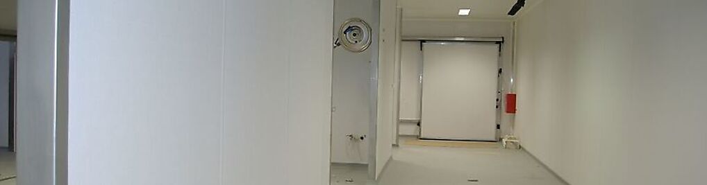 Zdjęcie w galerii Sarana nr 4