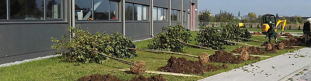 Zdjęcie w galerii Maciej Krzeszowski - PPHU Krzeszowski nr 9