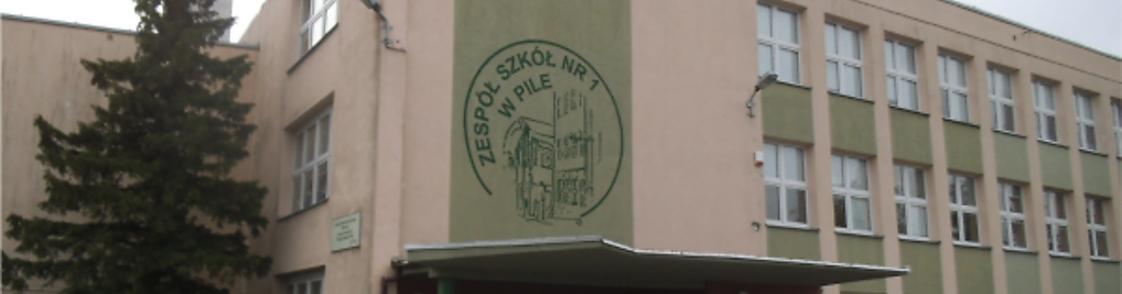Zdjęcie w galerii Szkoła Podstawowa nr 3 im. Jana Brzechwy w Pile nr 1