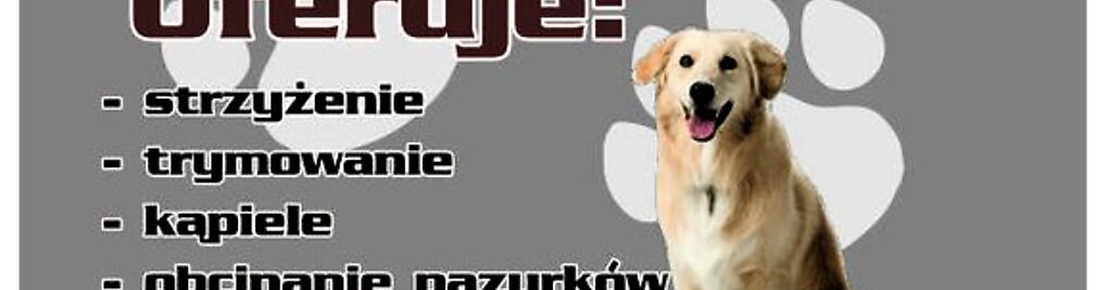 Zdjęcie w galerii Salon Pielęgnacji Psów "Cztery Łapki" nr 1