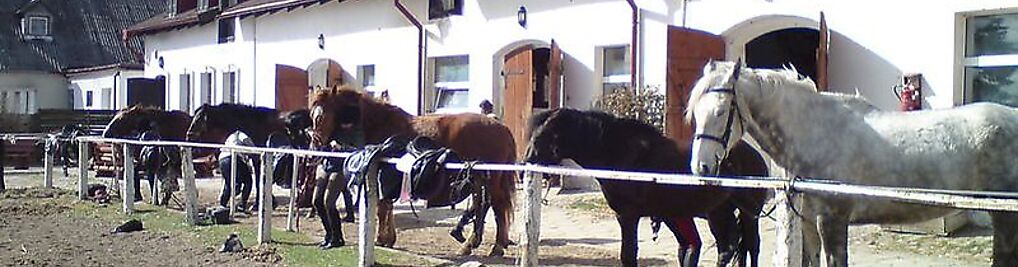 Zdjęcie w galerii Pomerania Patrycja Koriat - Kreft nr 5