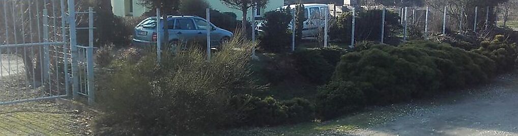 Zdjęcie w galerii Bożena Wójcik nr 2