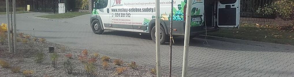 Zdjęcie w galerii Bożena Wójcik nr 8