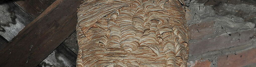 Zdjęcie w galerii Kontra Profesjonalna Grupa Sanitarna D.D.D Krzysztof Psionka nr 1