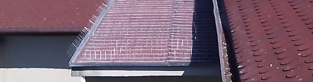 Zdjęcie w galerii Kontra Profesjonalna Grupa Sanitarna D.D.D Krzysztof Psionka nr 3