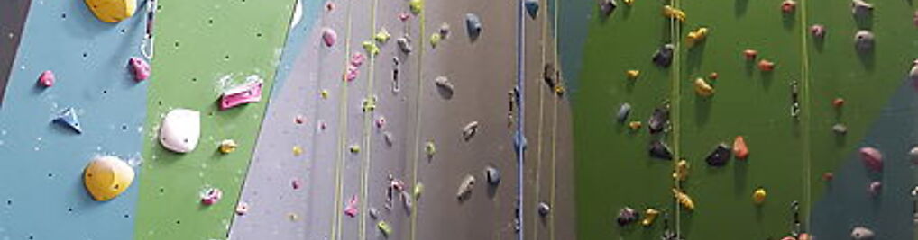 Zdjęcie w galerii WPINKA Ścianka Wspinaczkowa nr 2