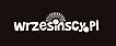 Logo - T-S Wrzesiński Jerzy, Kołłątaja Hugo 13, Śrem 63-100 - Przedsiębiorstwo, Firma, numer telefonu