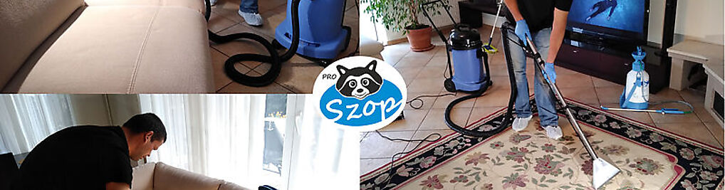 Zdjęcie w galerii ProSzop.pl – Ekspert w Czyszczeniu nr 1