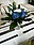Logo - Kwiaciarnia Gardenia, Trzyciąż 101, Trzyciąż 32-353 - Kwiaciarnia, godziny otwarcia, numer telefonu