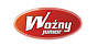 Logo - Kotły WOŹNY Junior P.H.U.P. MIRMAOL, Mieszka I 7, Pleszew 63-300 - Przedsiębiorstwo, Firma, numer telefonu