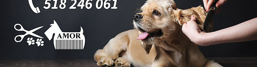 Zdjęcie w galerii Salon pielęgnacji psów AMOR / Psi fryzjer/ strzyżenie psów nr 1