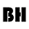 Logo - Paweł Borkowski BrainHatchery, ul. Stanisława Leszczyńskiego 4 50-078 - Przedsiębiorstwo, Firma