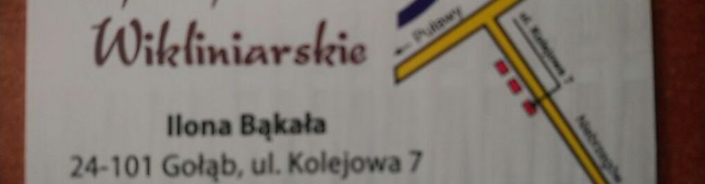 Zdjęcie w galerii Ilona Bąkała Wikliniarstwo Wyrób i Sprzedaż nr 1