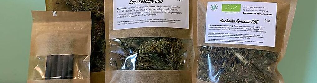 Zdjęcie w galerii Marcin Kurowski nr 3