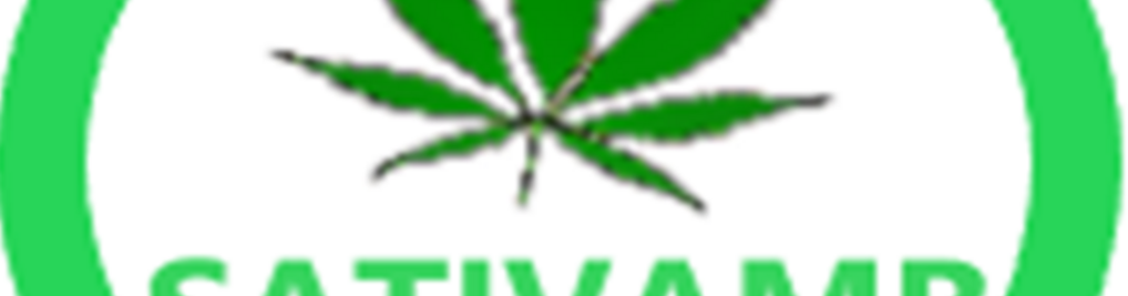 Zdjęcie w galerii Marcin Kurowski nr 2