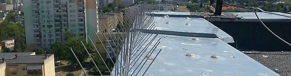 Zdjęcie w galerii Top Protect ochrona przed ptakami nr 5