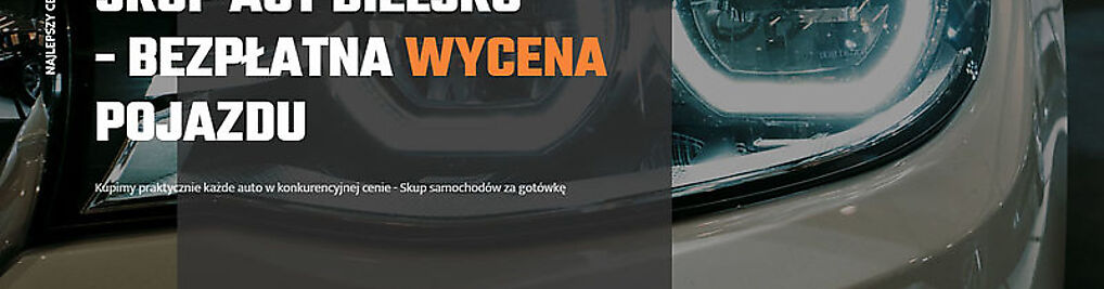 Zdjęcie w galerii Auto Złom, Skup aut - autoszrot.net nr 1