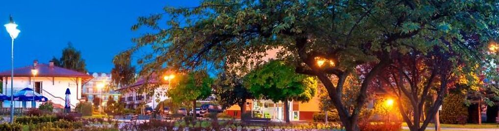 Zdjęcie w galerii OW Dozamel nr 2