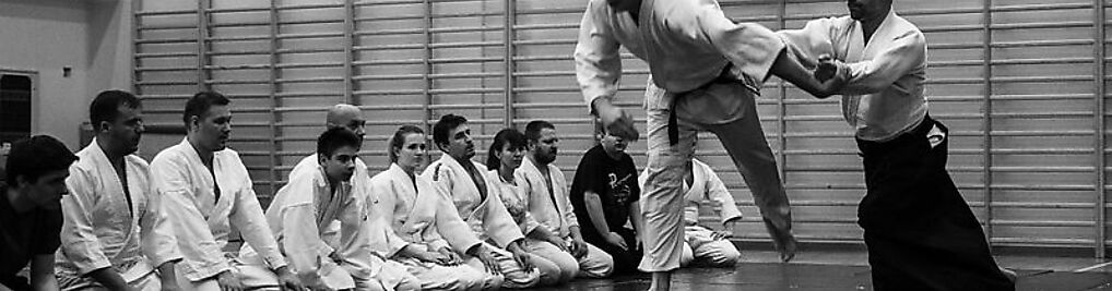 Zdjęcie w galerii Dojo Super Aikido Lublin nr 2