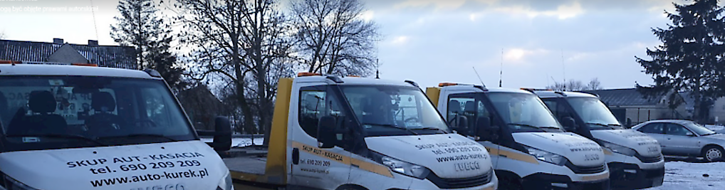 Zdjęcie w galerii Skup aut nr 1