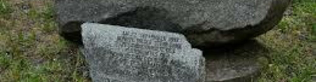 Zdjęcie w galerii parking nr 1