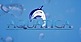 Logo - Aquatica, Wolności 127, Jelenia Góra 58-500 - Przedsiębiorstwo, Firma, numer telefonu