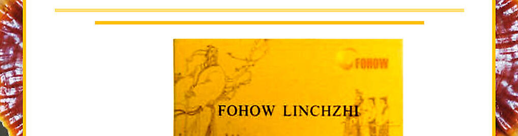 Zdjęcie w galerii FIGA Z MAKIEM nr 3