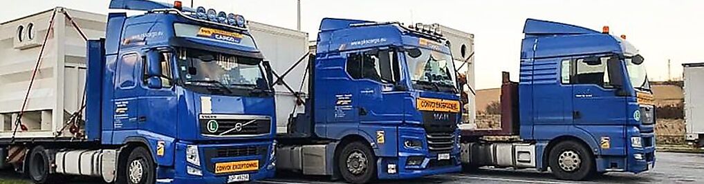 Zdjęcie w galerii PKS International Cargo S.A. nr 6
