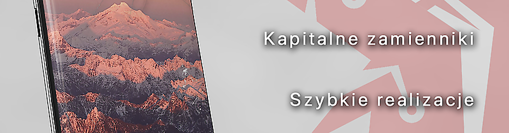 Zdjęcie w galerii DirtyPC - Profesjonalny Serwis i Sklep Komputerowy nr 4