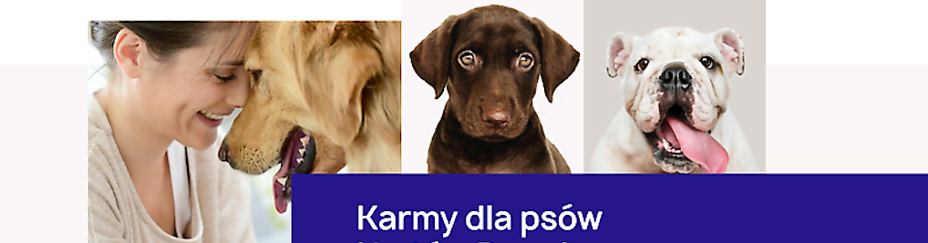 Zdjęcie w galerii Paweł Statucki - Działalność Gospodarcza nr 2