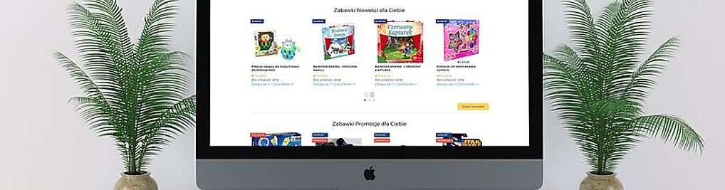 Zdjęcie w galerii GeminiSoftnet Tomasz Czujewicz - Tworzenie Stron Internetowych nr 1