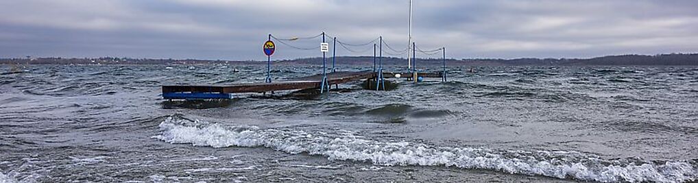 Zdjęcie w galerii Klub Płetwonurków LOK TCN OCTOPUS nr 8