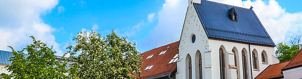 Zdjęcie w galerii Zamek Piastowski w Raciborzu nr 1