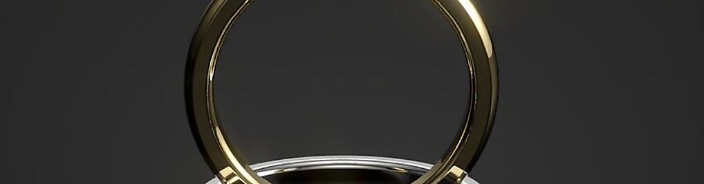 Zdjęcie w galerii GOLDPORT nr 1