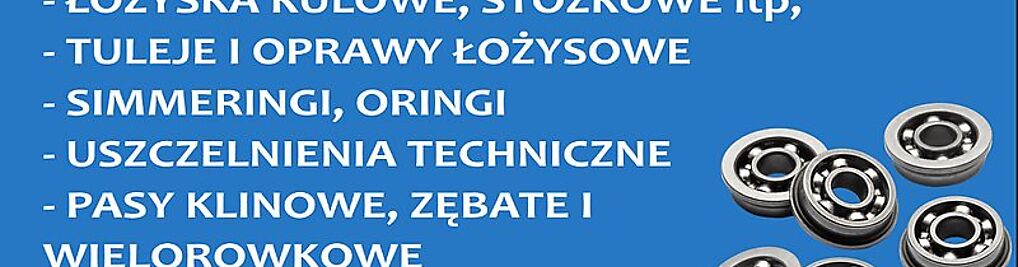 Zdjęcie w galerii Roltan łożyska, uszczelnniacze techniczne nr 1