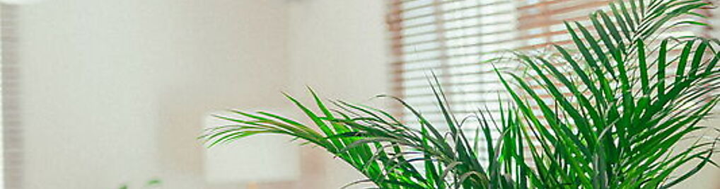 Zdjęcie w galerii Tête-á-tête Gabinet Psychologiczny Marta Cybuch nr 3