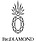 Logo - BigDIAMOND, Starowiślna 6/1b, Kraków 31-032 - Jubiler, godziny otwarcia, numer telefonu