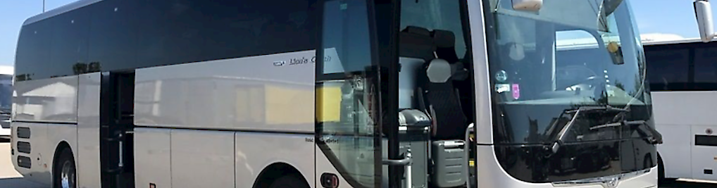 Zdjęcie w galerii Sztadex Bus nr 1