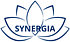Logo - Synergia Fizjoterapia, Lenartowicza Teofila Aleksandra 7, Bydgoszcz 85-133 - Prywatne centrum medyczne, godziny otwarcia, numer telefonu