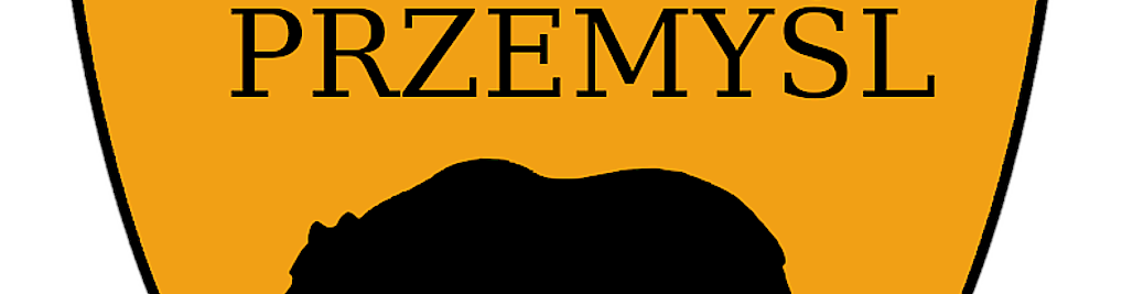 Zdjęcie w galerii TAXI PRZEMYŚL nr 1